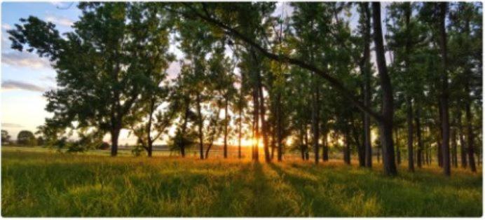 All Seasons Country Lodge Taree Luaran gambar